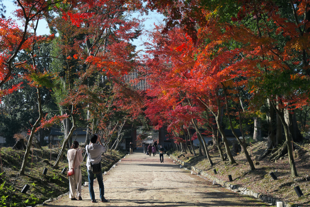 この色は二人の心に写しておいてね