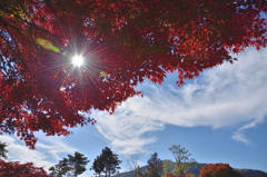 嵐山・高尾パークウェイ