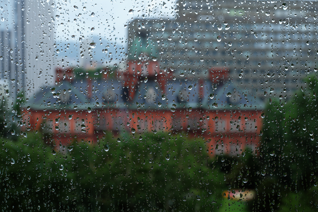 雨の札幌