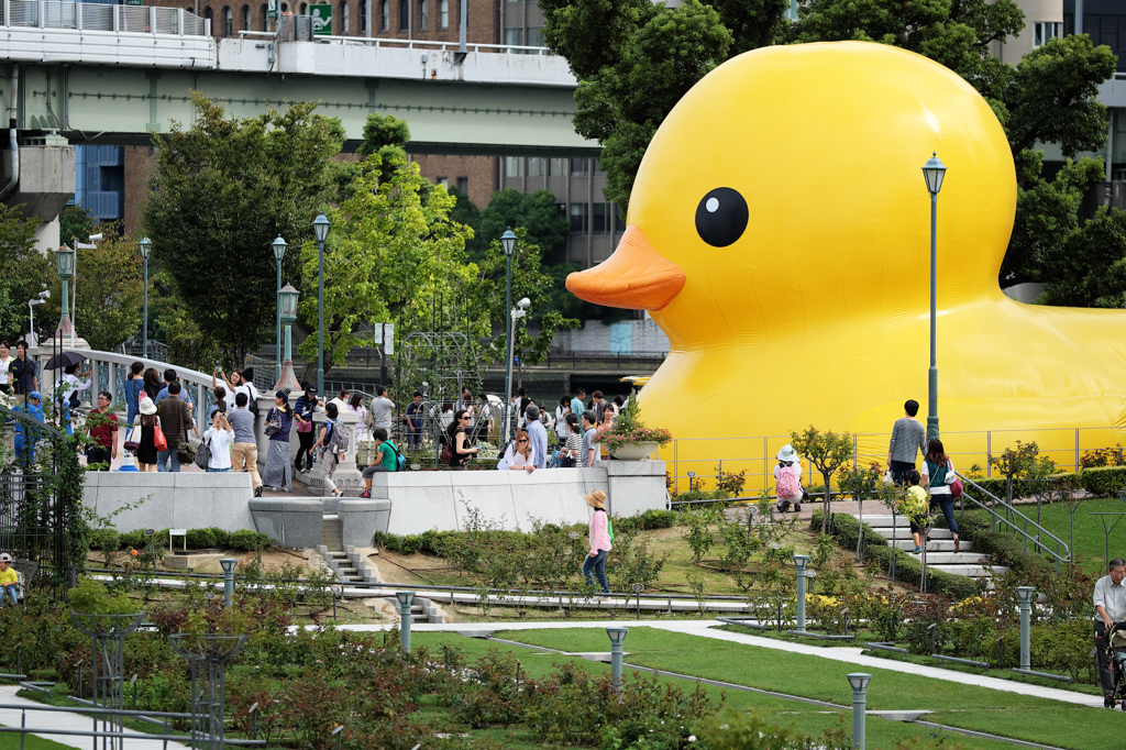 中之島、それぞれの休日
