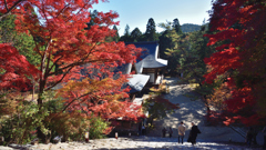 高尾山　神護寺