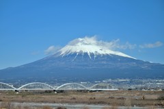 新幹線の車窓から