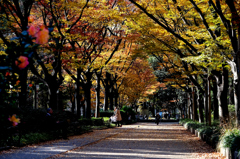 靭公園の昼下がり