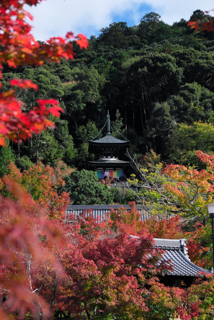 永観堂 多宝塔