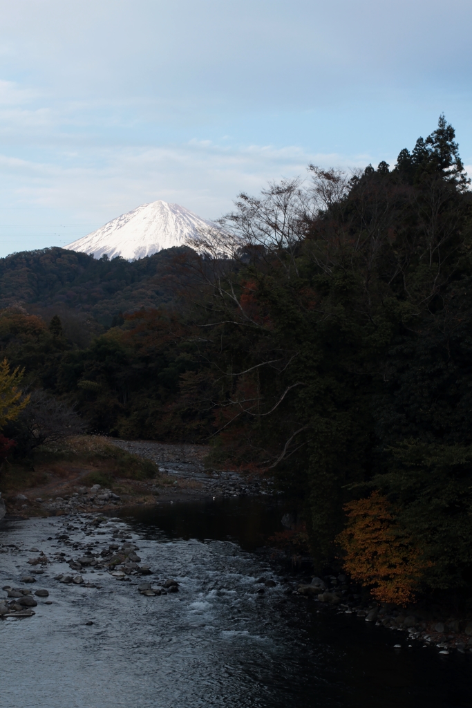 芝川