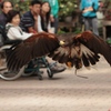 Ready for Landing