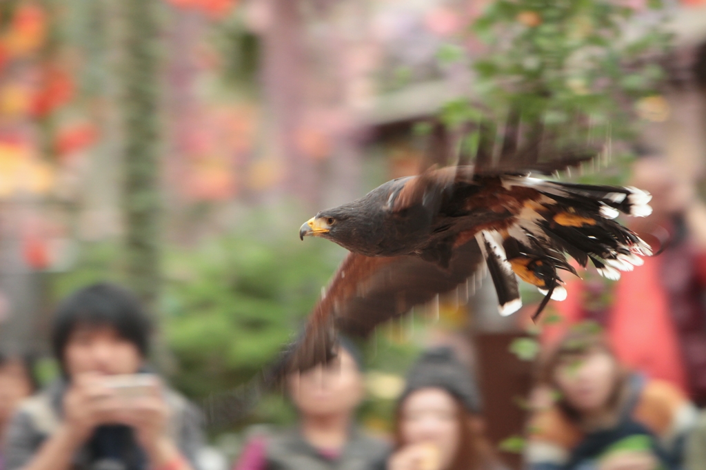嵐なんて吹き飛ばせ