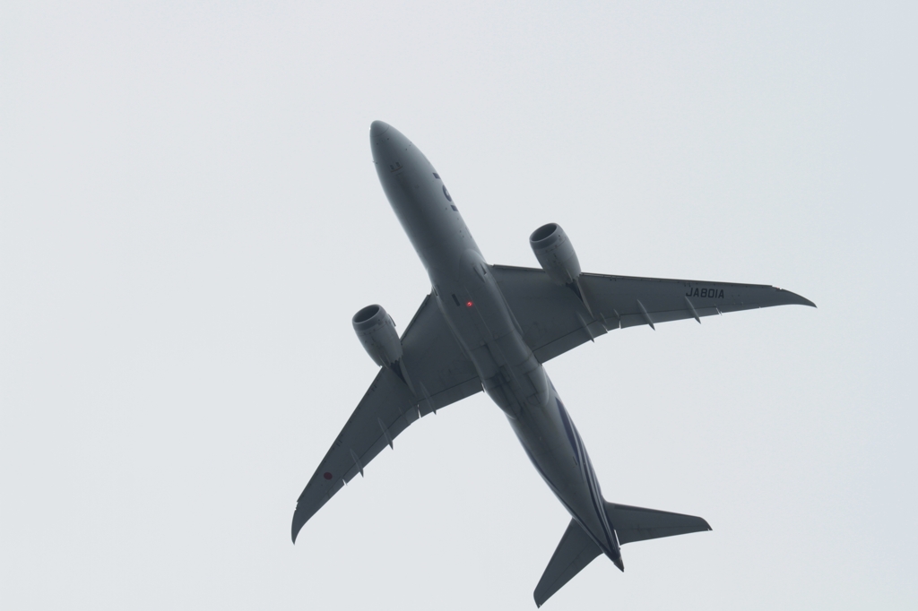 最新鋭機のおなか