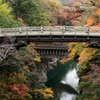 週末は山梨にいます。