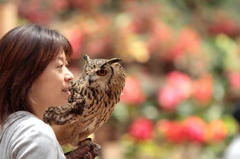 Buddy（相棒）（１）