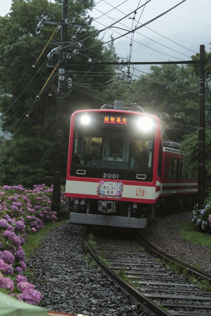 雨の箱根路