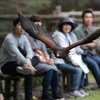 The Bird Show