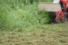 人とともに暮らす