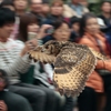 観客席に突撃