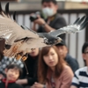 人気者