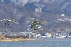 まもなく諏訪湖に春の訪れ