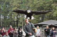 撮影直後に神戸花鳥園さまのFacebookに無断転載された画像