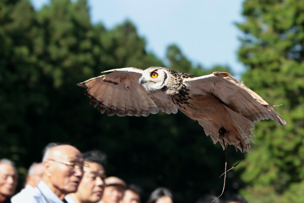 あの大空へ