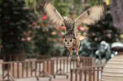 真っ直ぐに前を見つめて