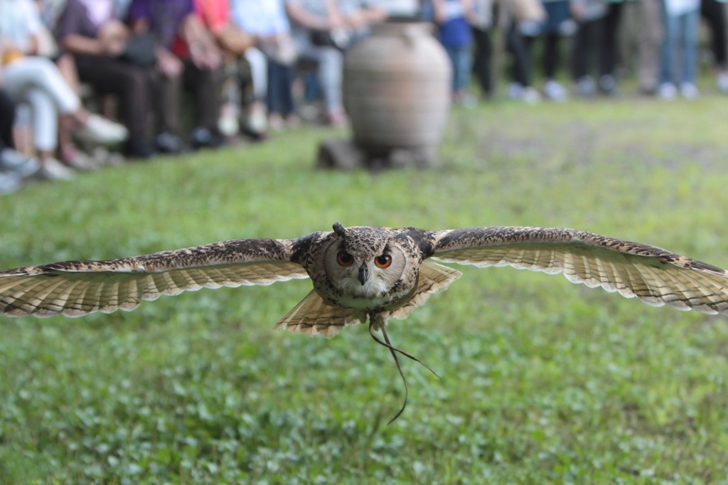 対決。ビビって先に逃げ出した方が負けｗ