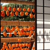 障子越し