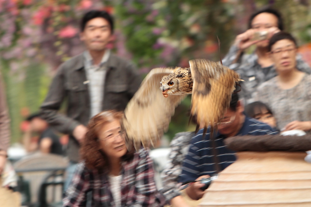 悪戯小僧