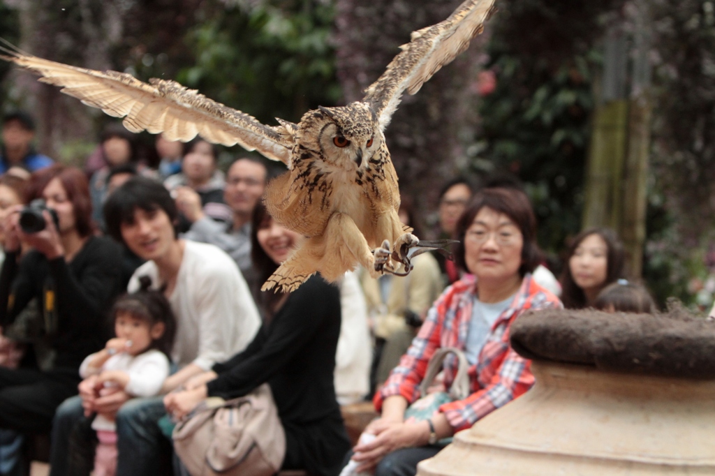 ＼(＼o-)ﾍﾝ～(-o／)ゝｼﾝｯ!!　　　＼(｀O´)／ﾄｳ!!