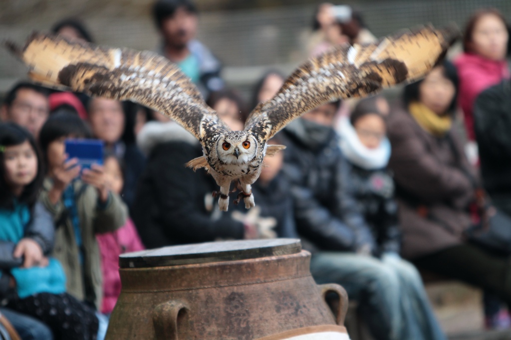 Jump!