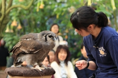 Buddy（相棒）（３）
