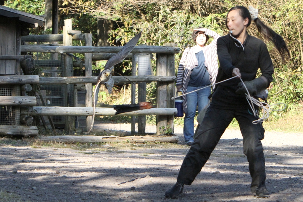 テツくん vs トレーナーさん　真剣勝負（３）