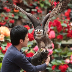 捕獲されたウルトラ怪獣