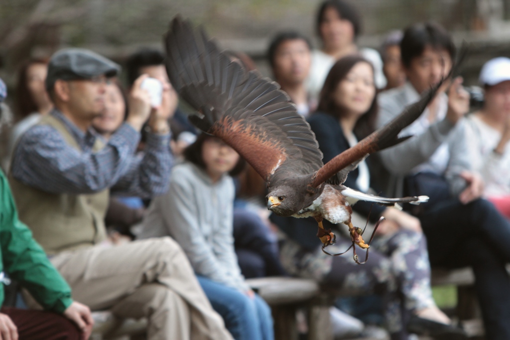 駆け抜ける