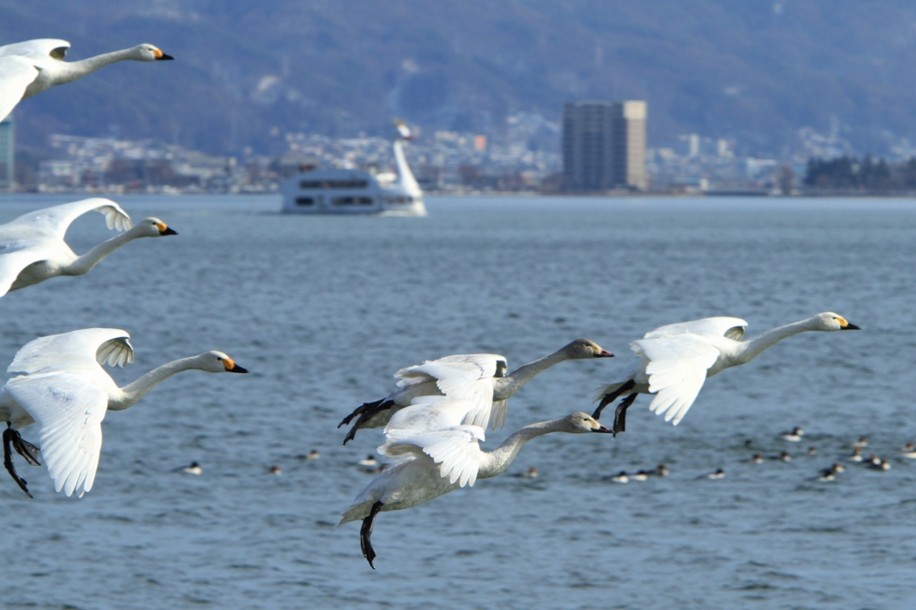 そうだ　諏訪湖、行こう