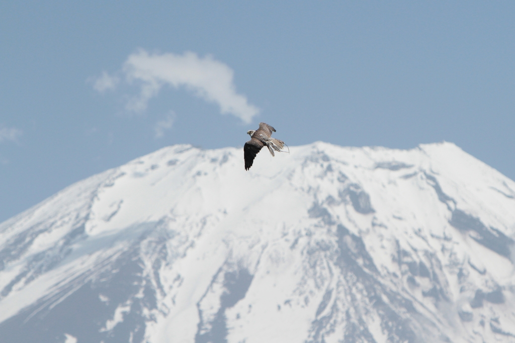 Man on the Silver Mountain