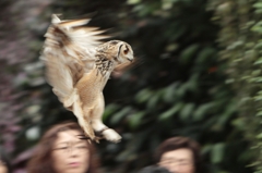 エア・ブレーキ