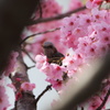 食事の時間