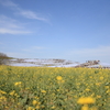 DPP_2007