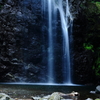 DPP_2000