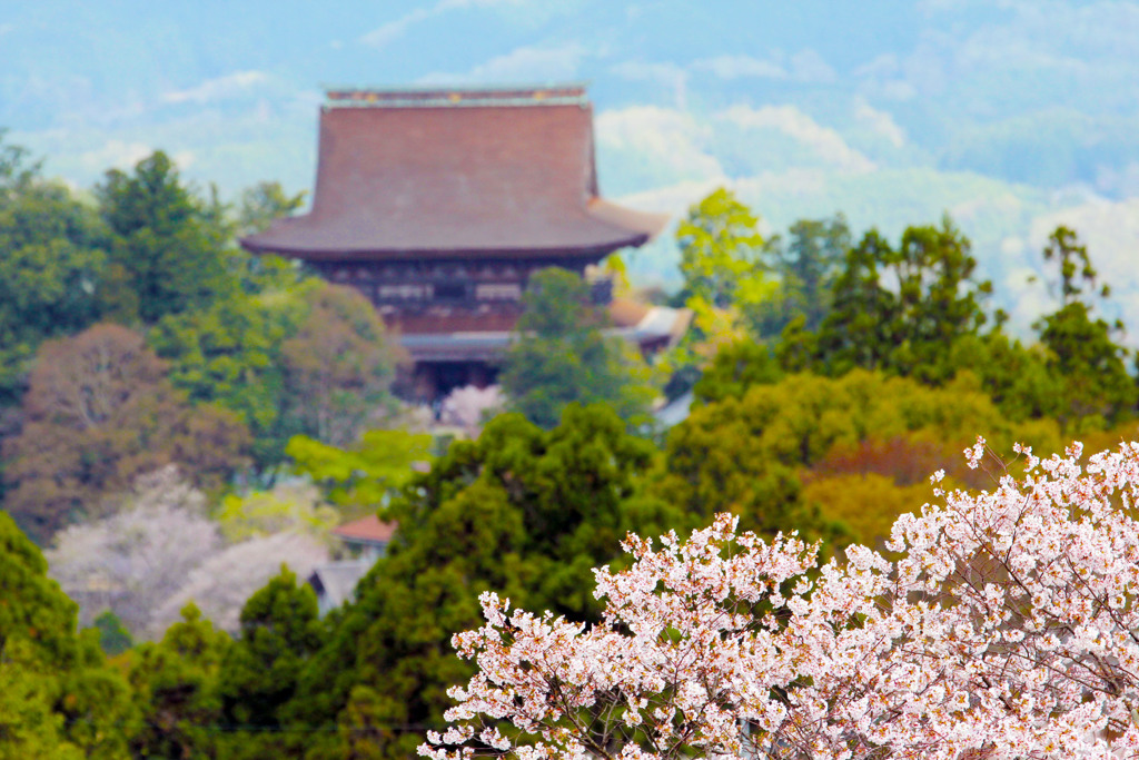 金峯山寺を望む