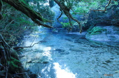 屋久島の水辺