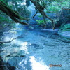 屋久島の水辺