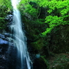 DPP_2003