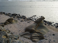 海をながめる