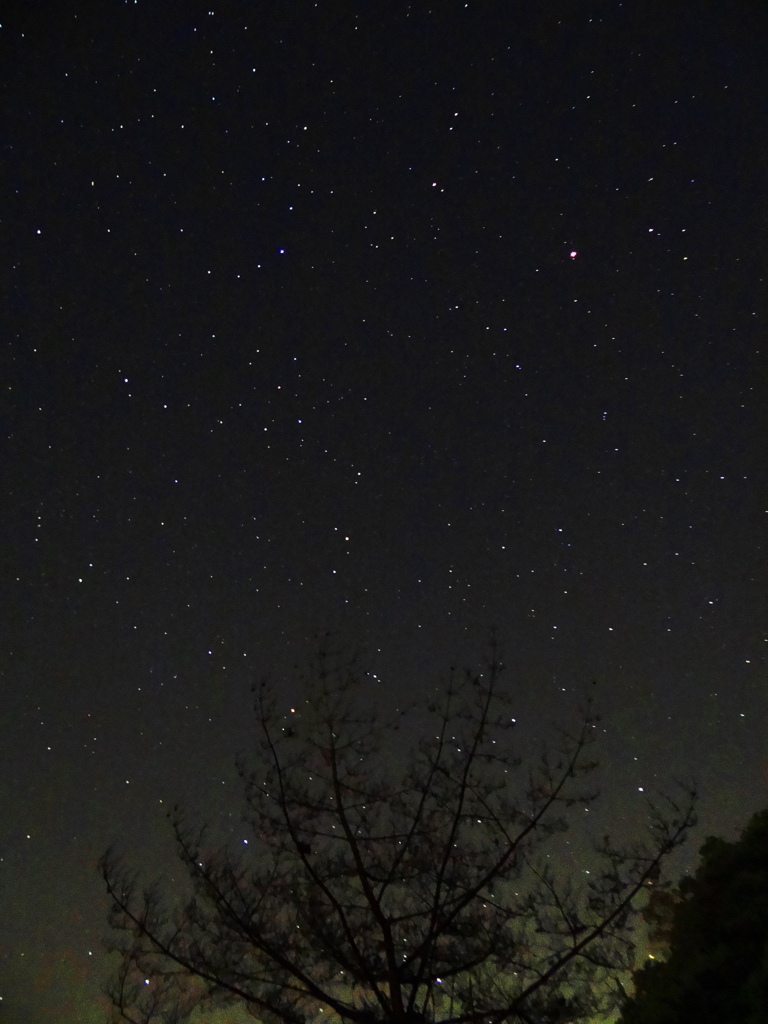 見上げた夜空