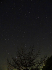見上げた夜空
