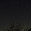 見上げた夜空