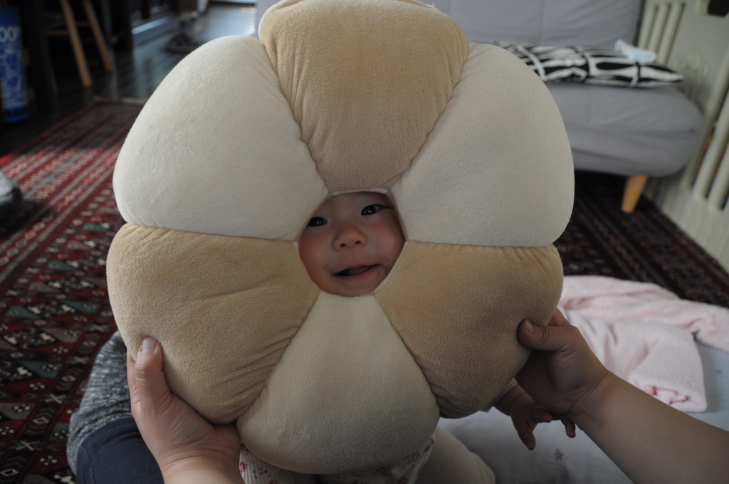 ポンデライオン？