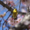 春の訪れ