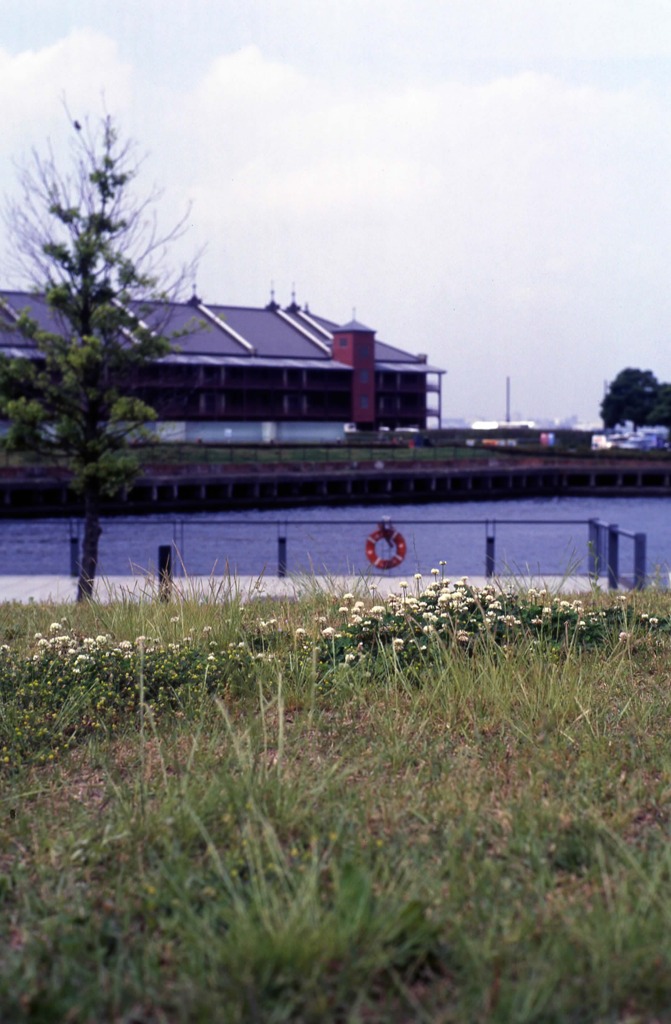 横浜歩き道⑪