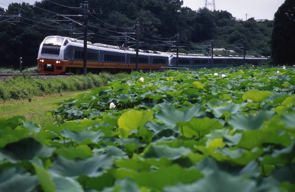石岡④